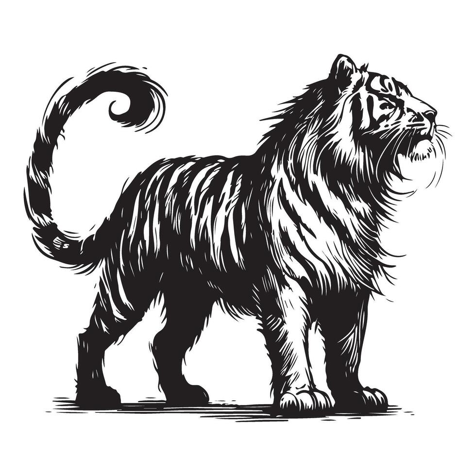 Roaring Tiger Artistic Illustration Black and White Animal Image vector