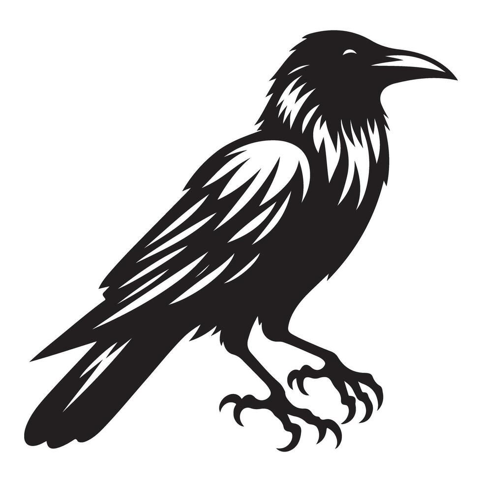 Raven Silhouette Illustration Mysterious Bird Design Graphic Element vector