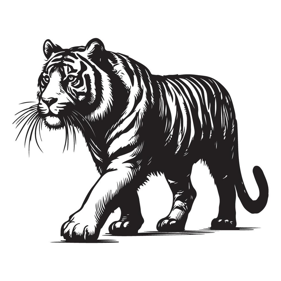 Majestic Tiger Illustration for Wildlife and Conservation Projects vector