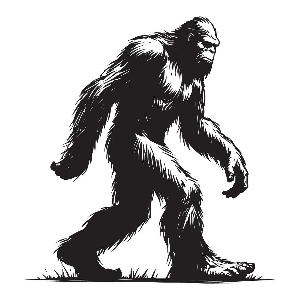 Detailed bigfoot walking forward full body silhouette design vector