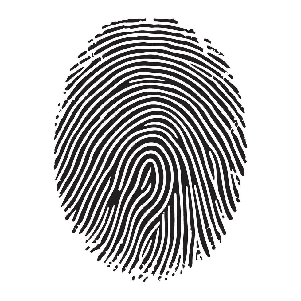 Fingerprint Illustration Forensic Evidence Identification Mark Unique vector