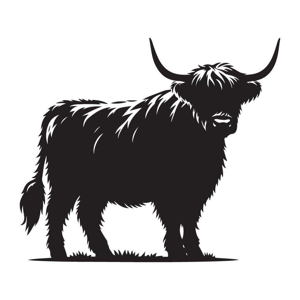 Silhouette Highland Cow Illustration Scottish Cattle Design Graphic vector