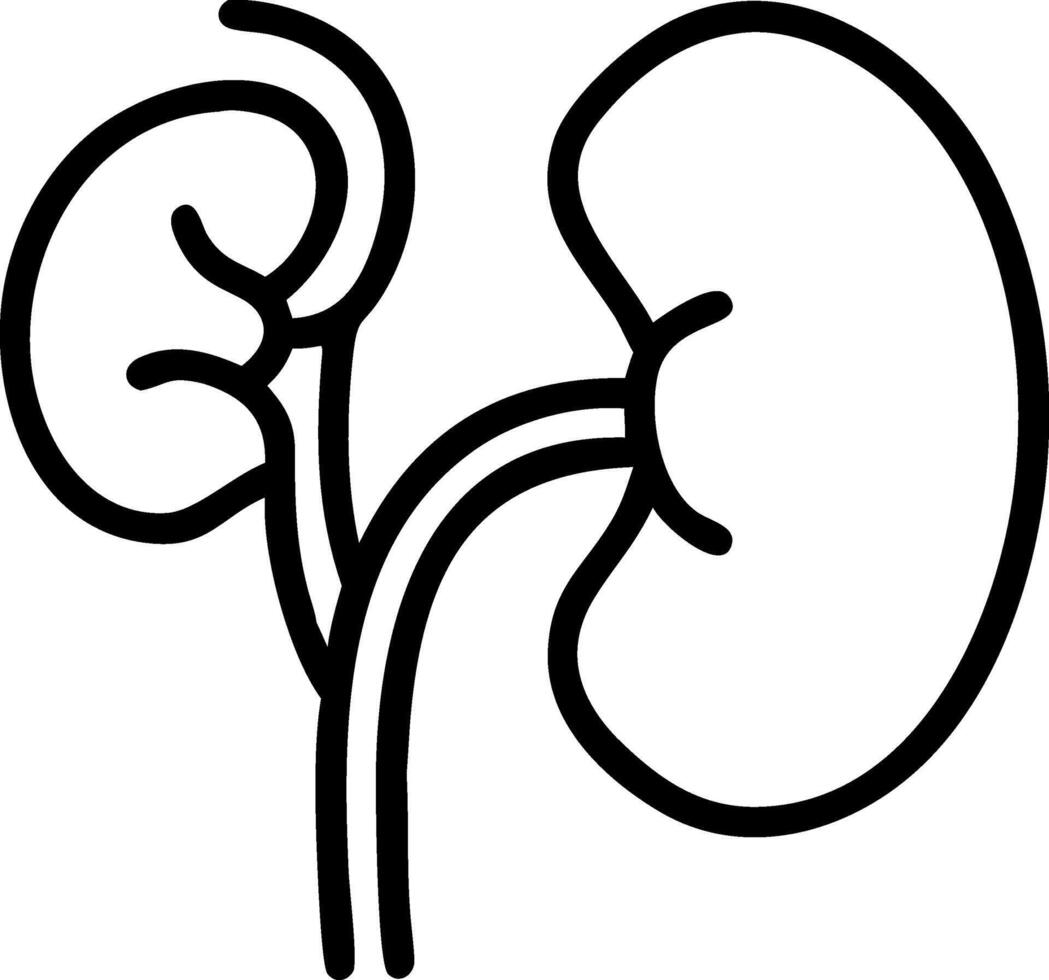 Minimalist Kidney Icon Design vector