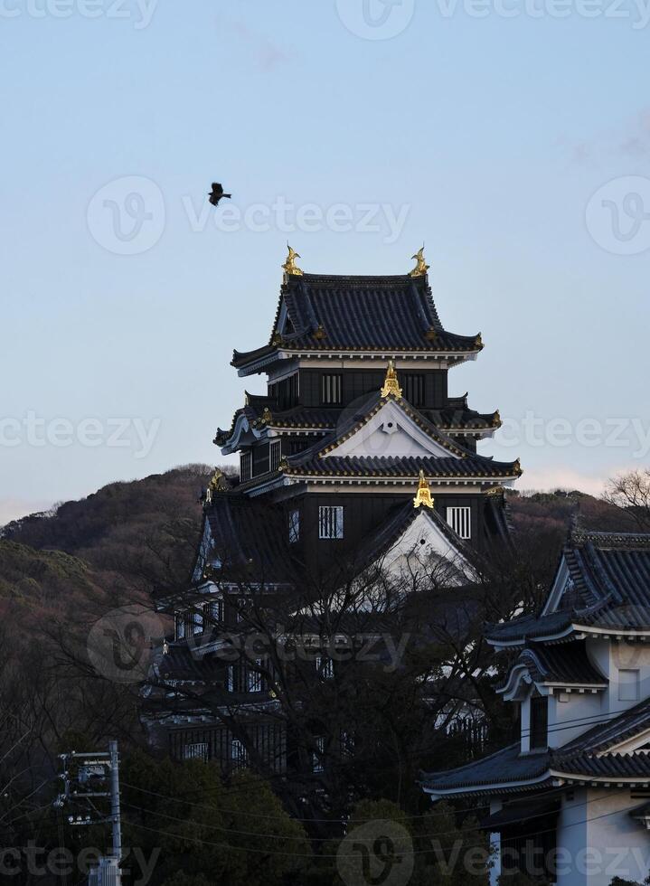 Okayama castle in Okayama, Japan, during sunset, in front of the blue sky photo