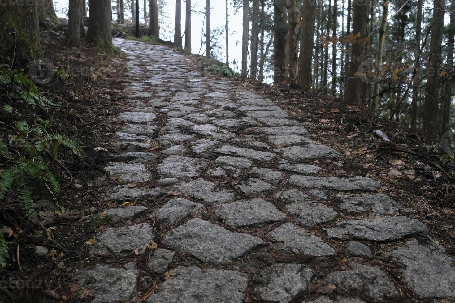 Old paved path on the Nakasendo trail in Japan leading through a forest photo