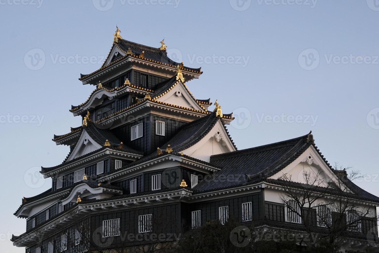 The castle in Okayama, Japan, during sunset photo