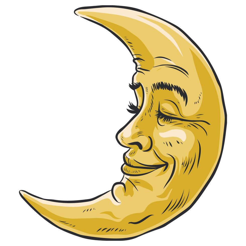 Moon illustration on white vector