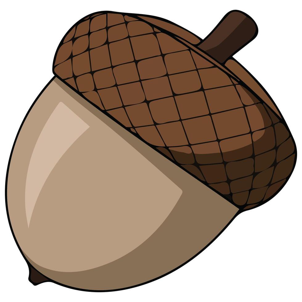 Acorn logo icon vector