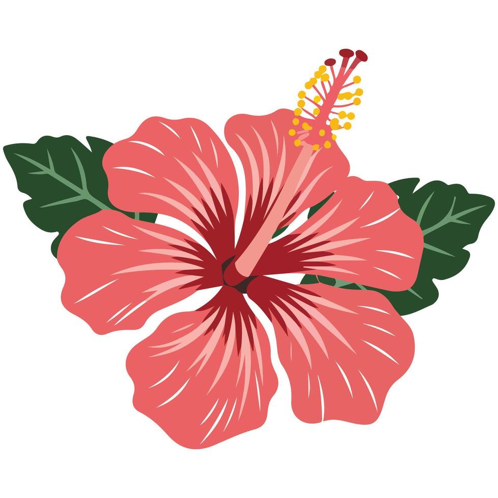 Red hibiscus flower icon vector