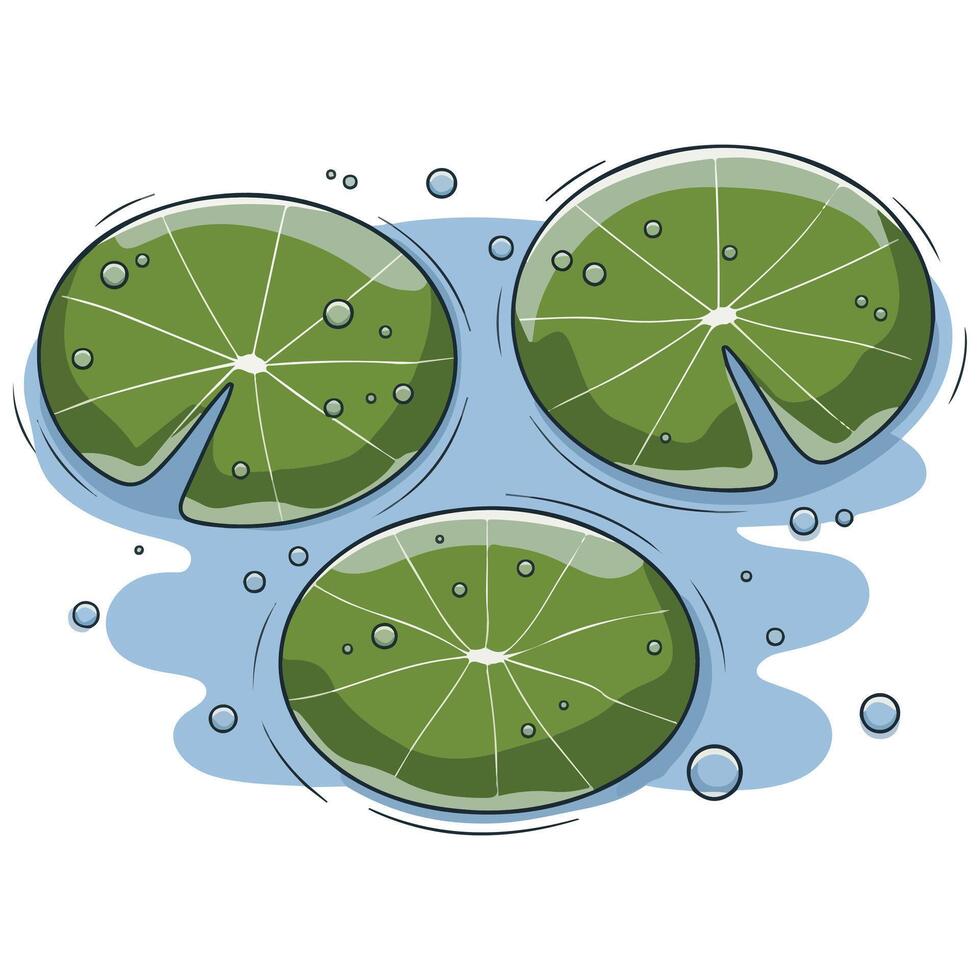 Water lilies floating on a blue pond vector