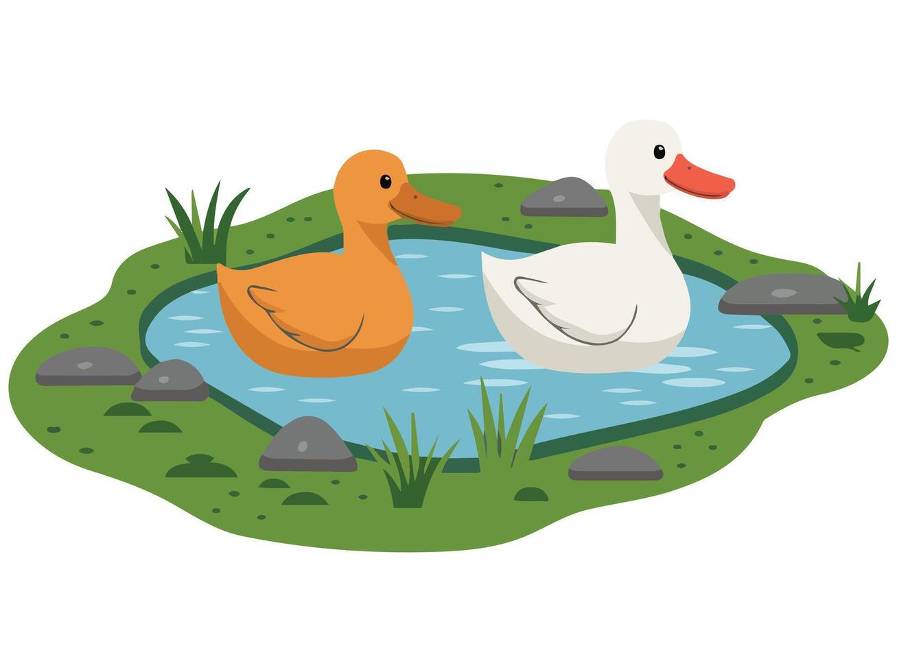 Ducks swimming in a peaceful pond vector