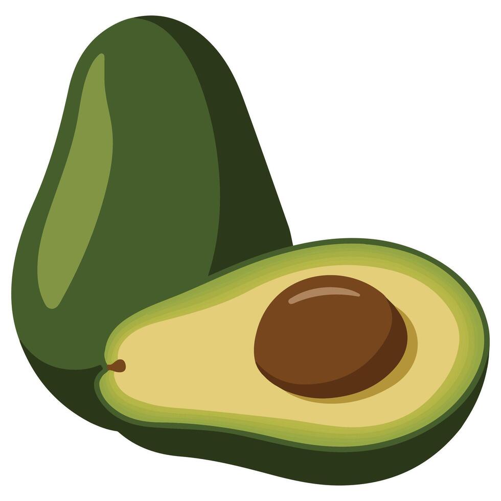 Whole and cut avocado vector