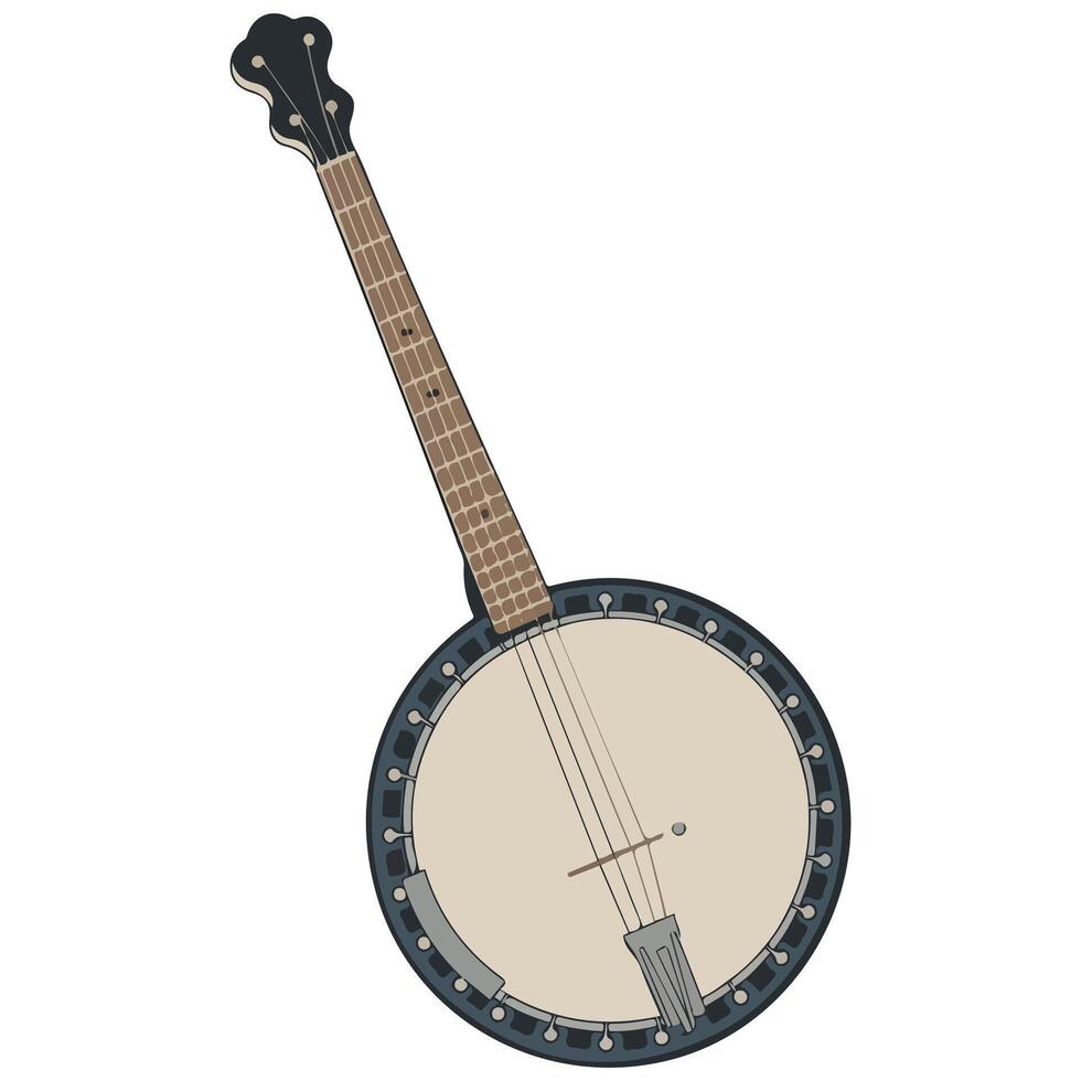 Banjo with fretboard vector