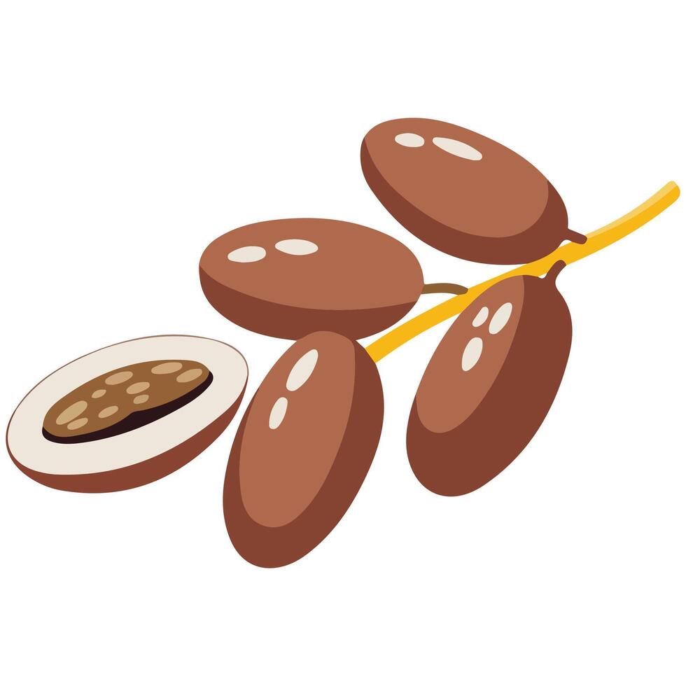 Dates branch for health vector