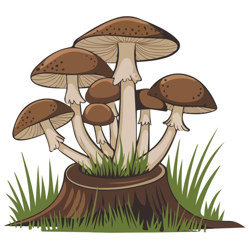 Edible mushrooms on stump vector