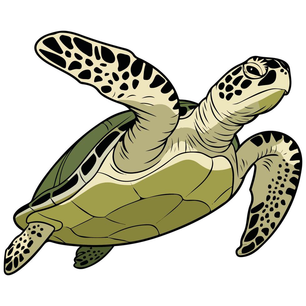 Green turtle on white vector