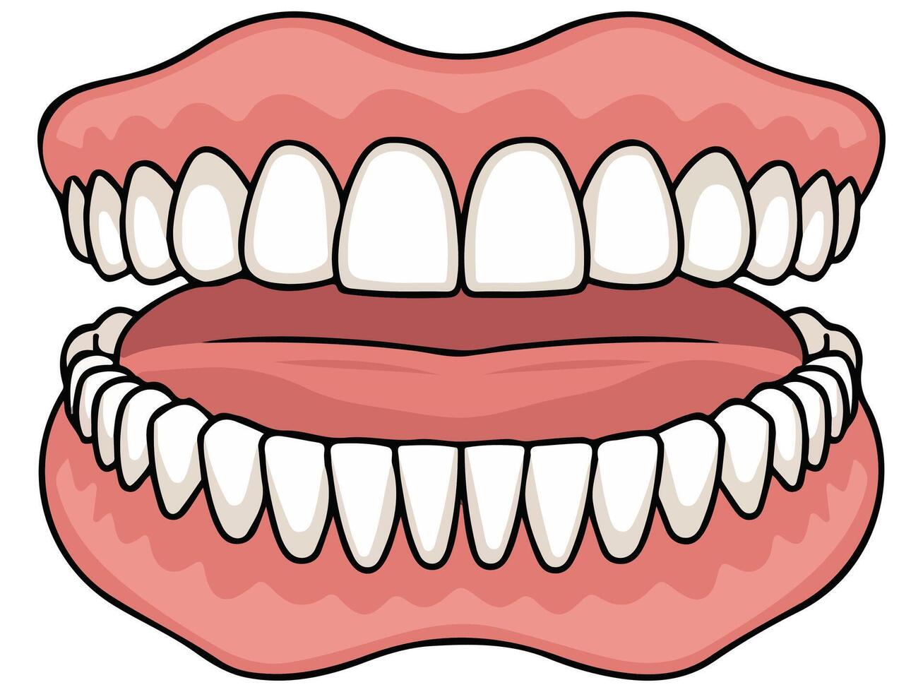 Jaw with teeth icon vector