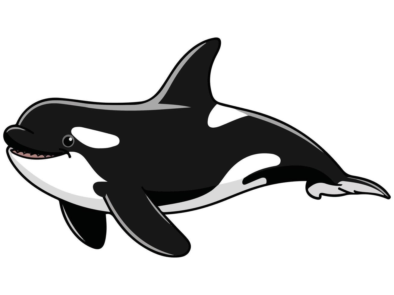 Killer whale cartoon vector