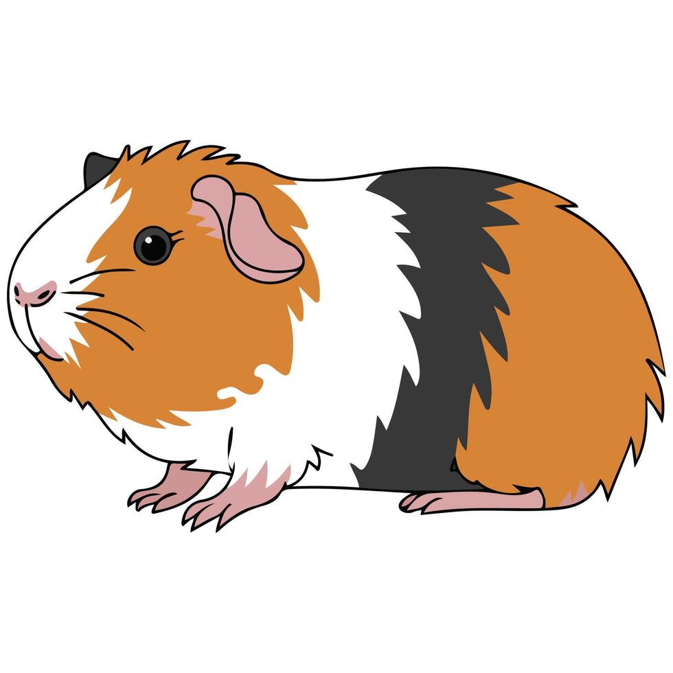 Guinea pig cartoon vector