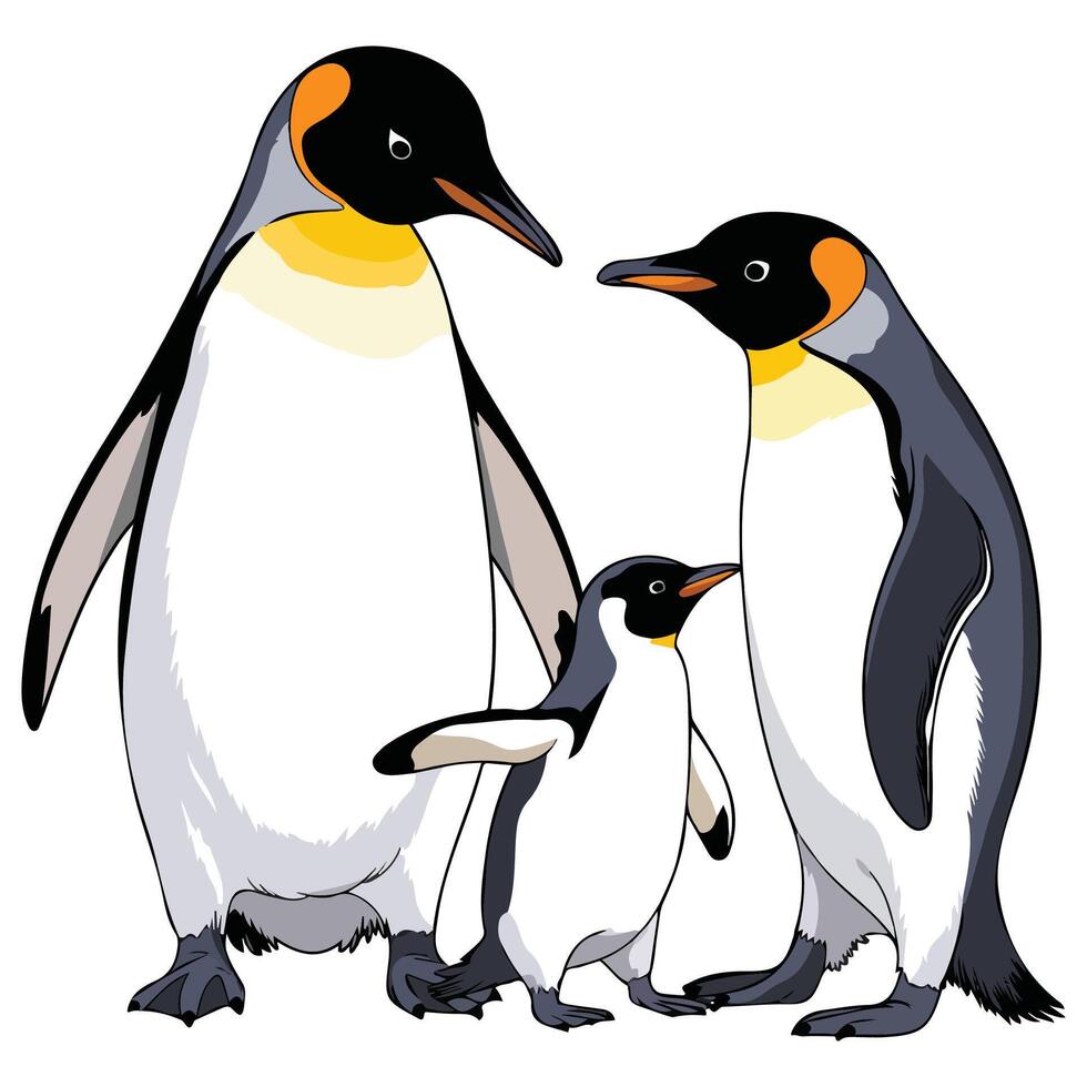 Penguin family on white background vector
