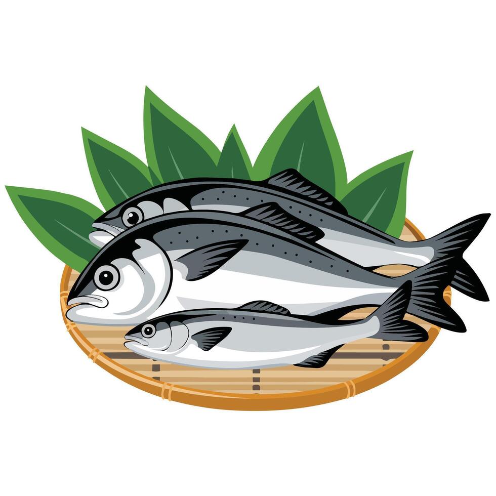 Mackerels on basket vector