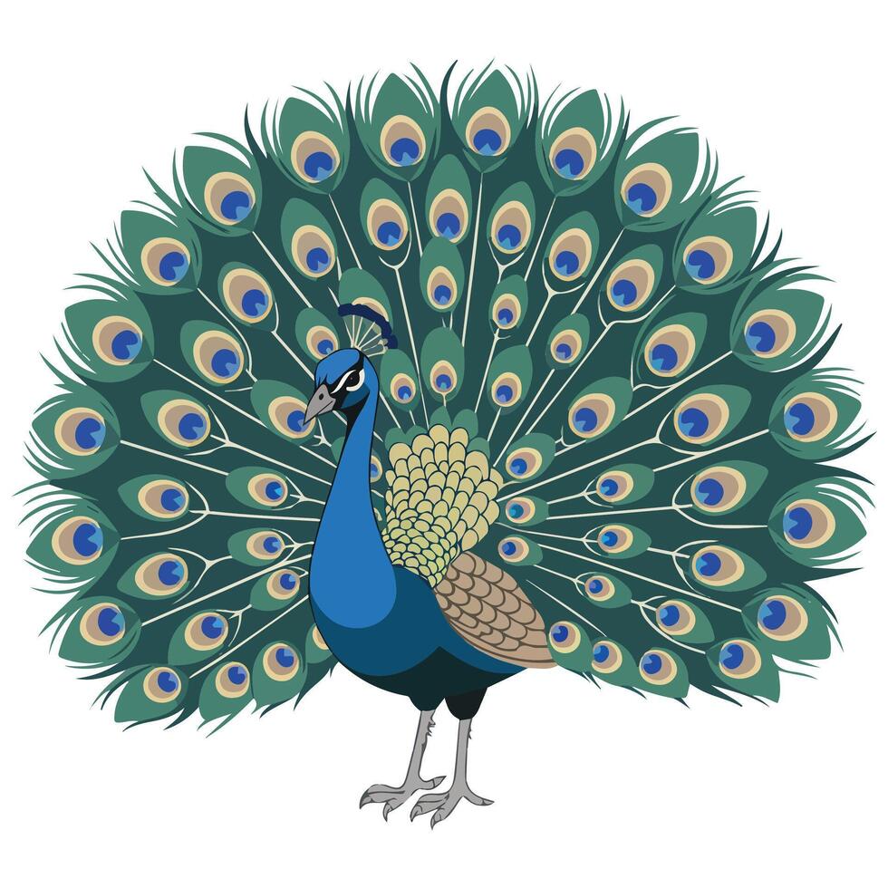 Peacock icon on white background vector