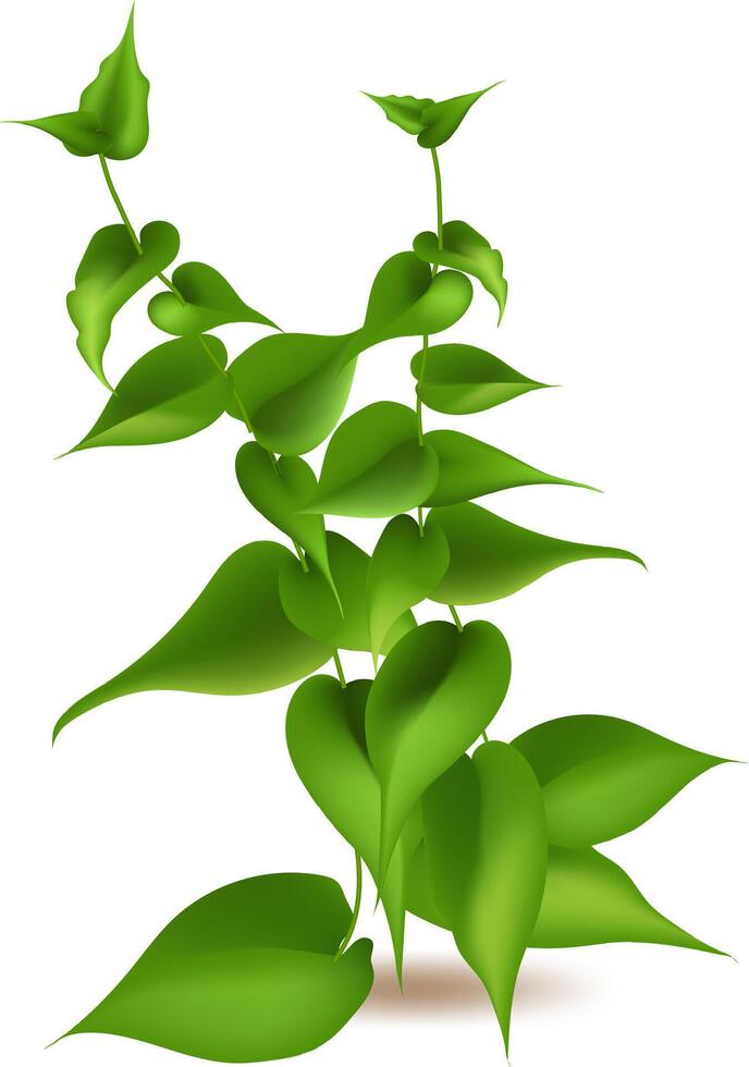 Featuring fresh plants and seasonal growth, this illustration showcases vibrant greens, herbs, and leaves, forming two elegant branches against a clean white background vector