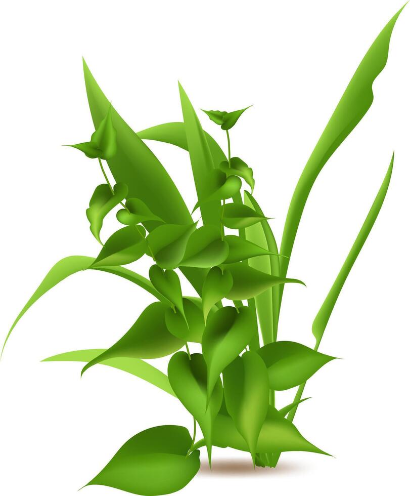Lush green leaves and stems creating a vibrant and natural scene, perfect for representing growth, nature, or springtime, with a clean white background emphasizing the plant's details vector