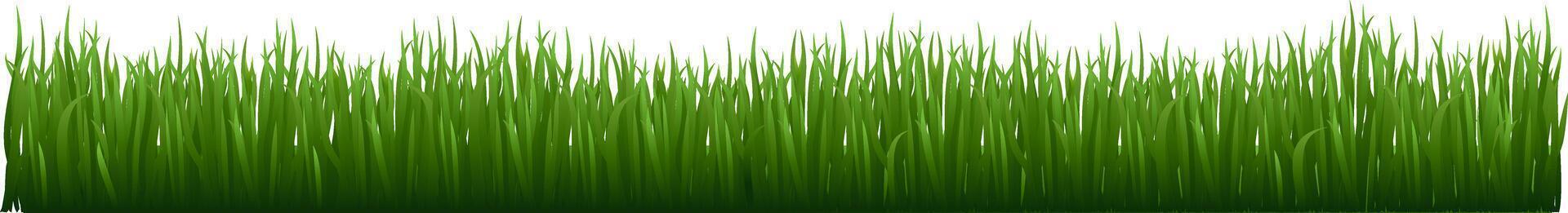 Lush green garden herb plants creating a vibrant landscape, enhancing fresh lawn elements and showcasing beautiful meadow foliage against a clean white background vector
