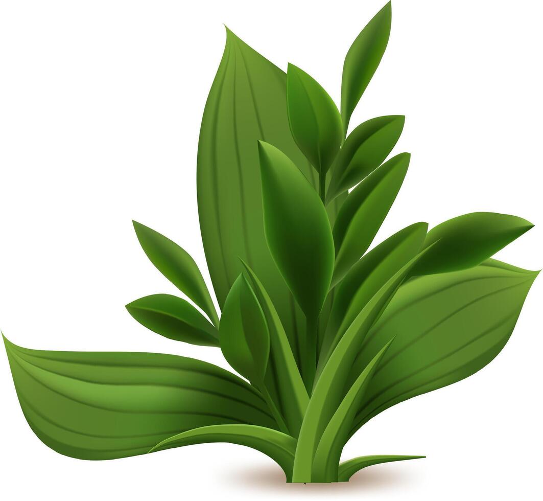 Realistic illustration of a vibrant green grass growing in the spring season, isolated on a white background, perfect for nature and gardening projects vector