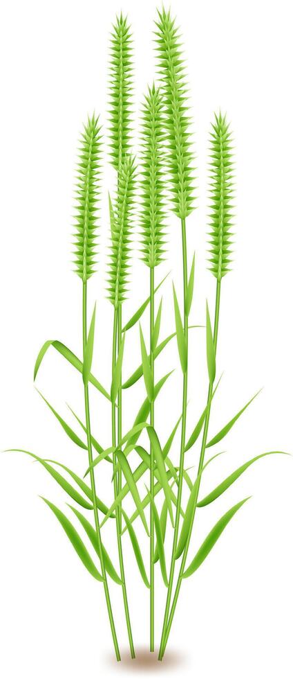 Fresh plants and seasonal garden growth featuring vibrant greens, herbs, and leaves, all illustrated as isolated icons against a clean white background vector