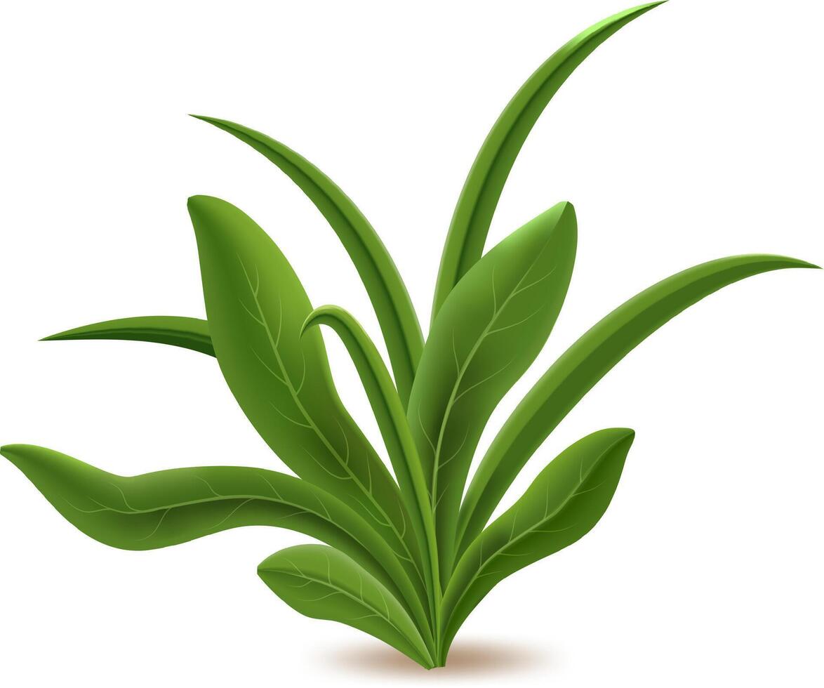 Fresh green grass growing on white background creating a realistic natural and vibrant image, perfect for representing spring, nature, or growth concepts vector