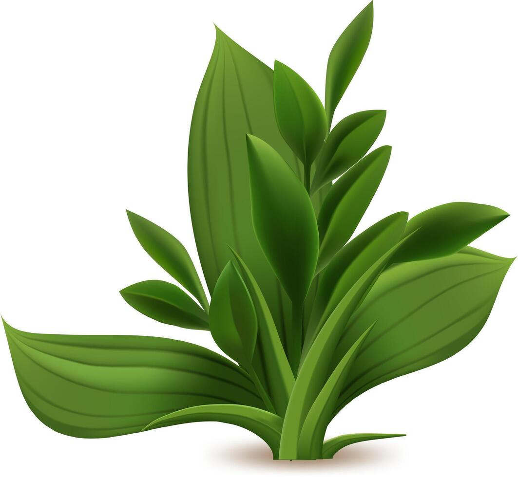 Realistic illustration of fresh green grass, herbs, and plants, representing spring greens, botanical sprouts, and garden seasonal growth, isolated on a white background vector
