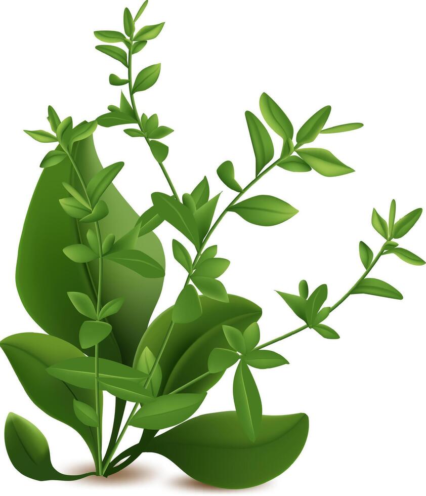Realistic illustration featuring fresh green plants and herbs thriving in spring, capturing the essence of nature, gardening, and a healthy, vibrant lifestyle vector