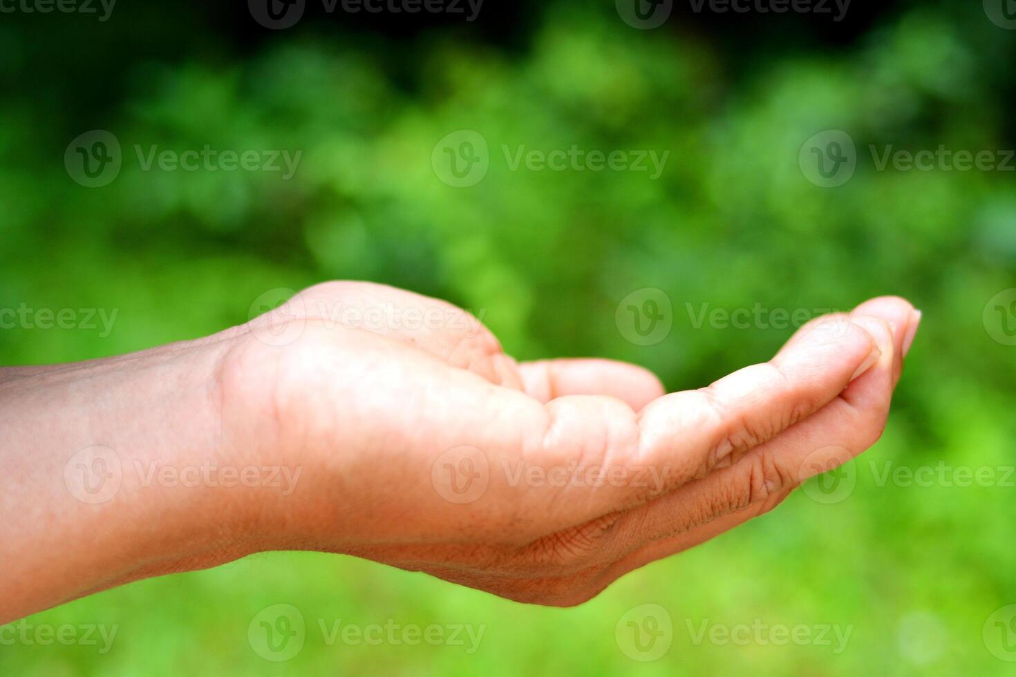 Empty hand of man on green blur background. Isolated arm holding palm, fingers open up, take sign. Give business showing human object, close side of young wrist. photo