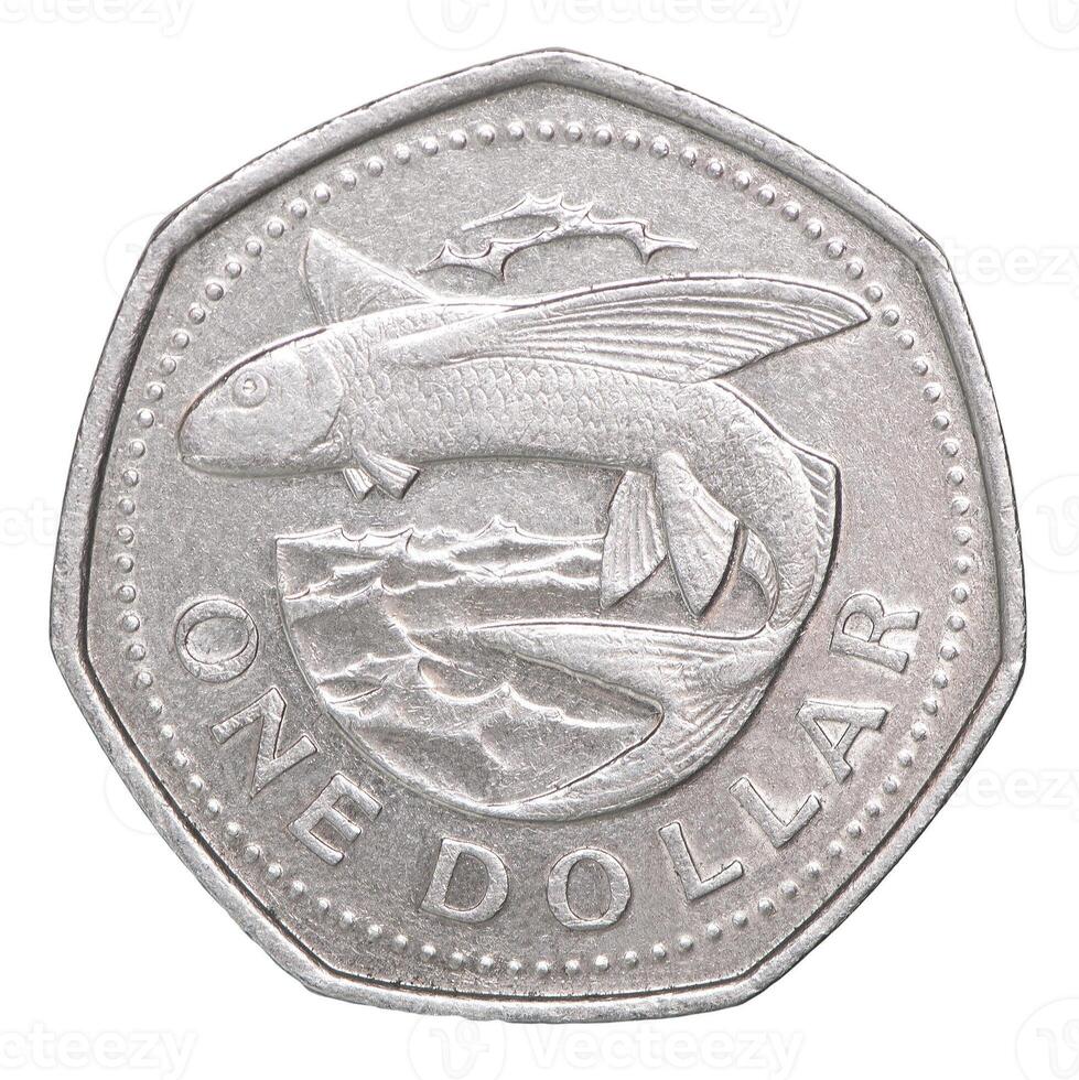 A one dollar coin with a fish on it photo