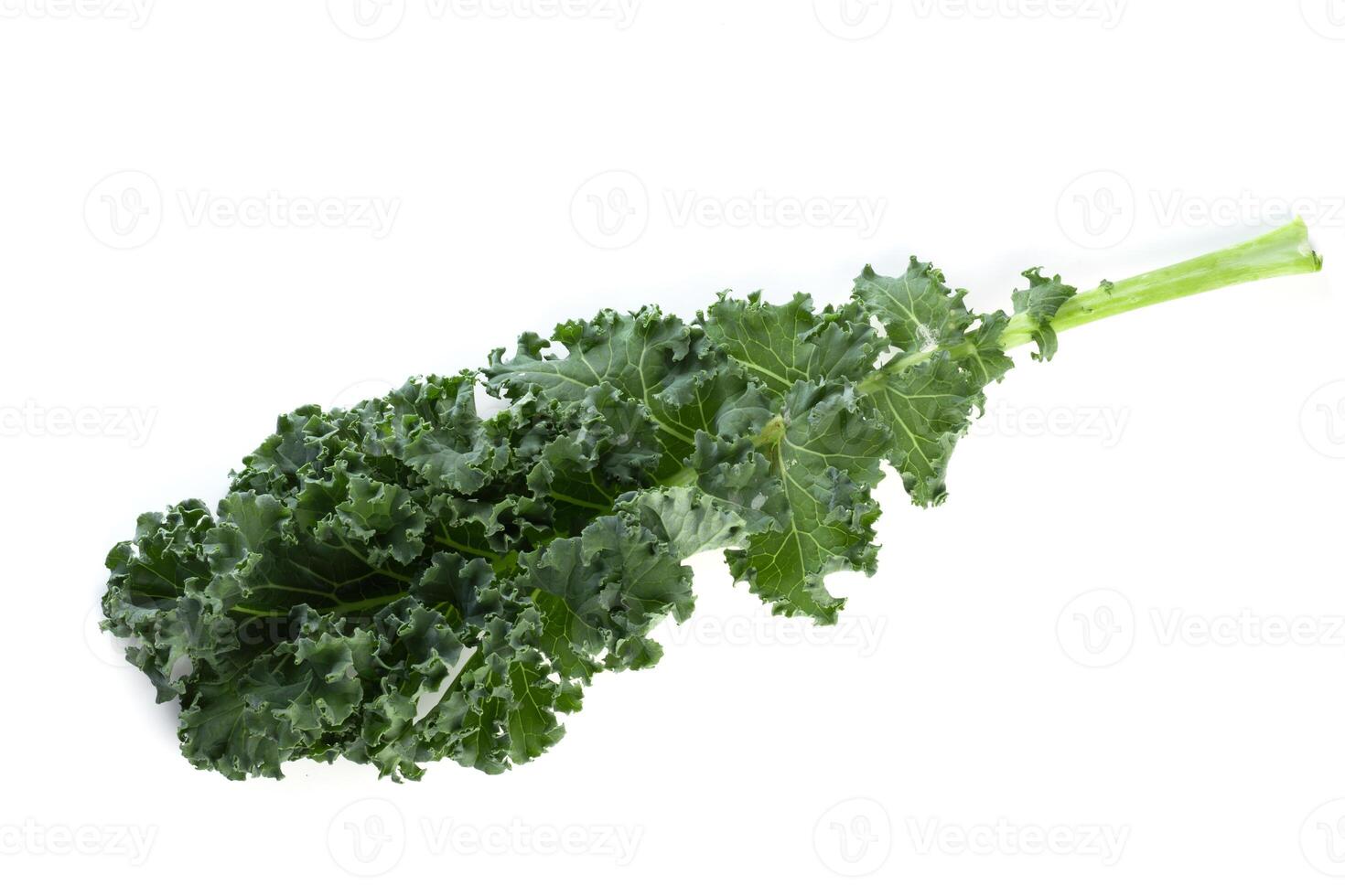 Fresh green leaves of Kale. Green vegetable leaves isolated on white background. photo