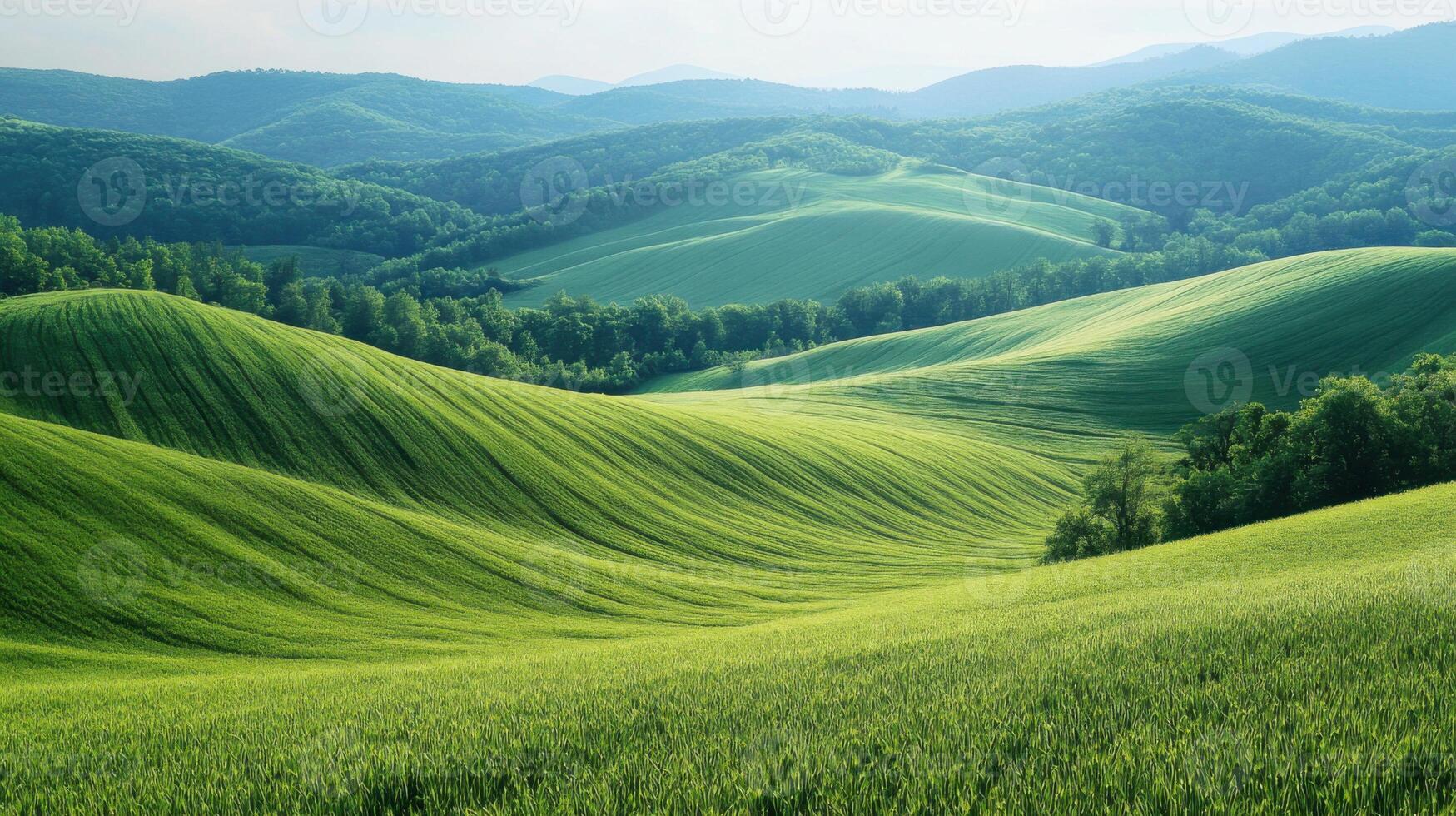 Green fields rolling on hills. Lush trees near meadows. Gentle mountains far away on horizon. Peaceful scenery in nature. photo