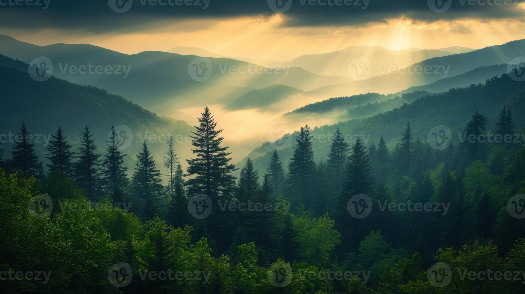 Green forest in mountains. Light rays through trees. Nature landscape with fog and hills. Beautiful scene of pine forest and sunshine. photo