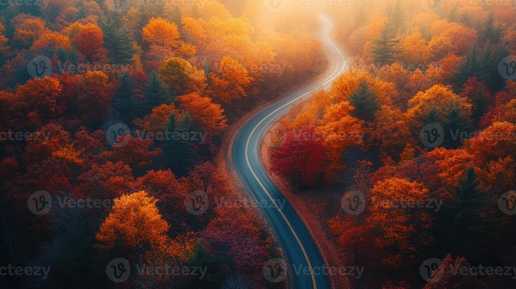 Autumn forest from above. Road curve through trees. Fall colors shine on leaves. Scenic landscape with path winds down. Colorful nature background. photo