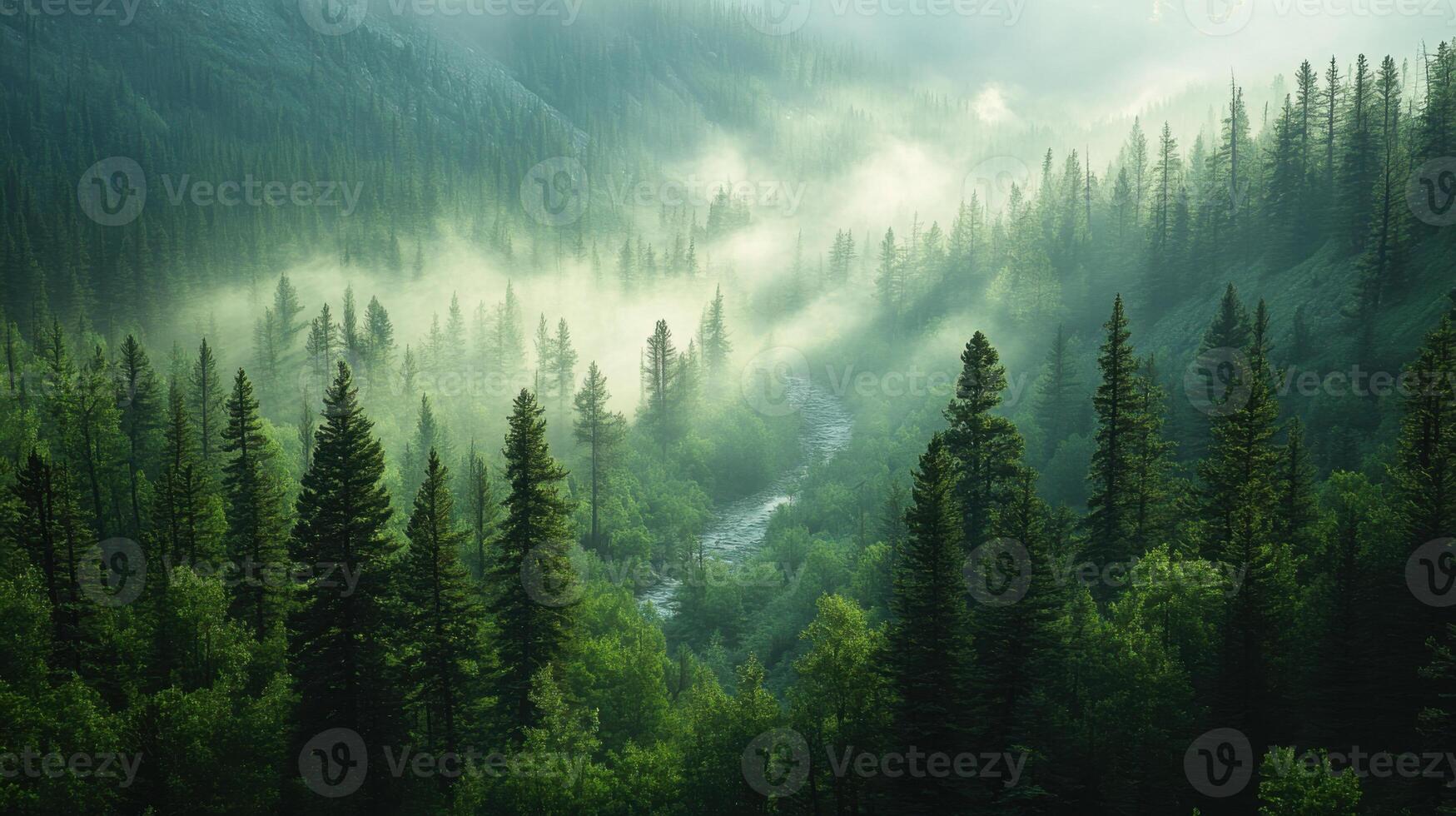 Green forest with tall trees and mist. River flows through woods. View from above of scenic nature with fog rolling through. photo