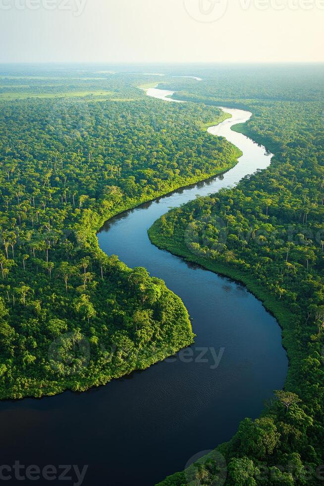 Green forest aerial view. River flows in natural landscape. Dense trees from above. Dark water going through woods. Curvy river stream. photo