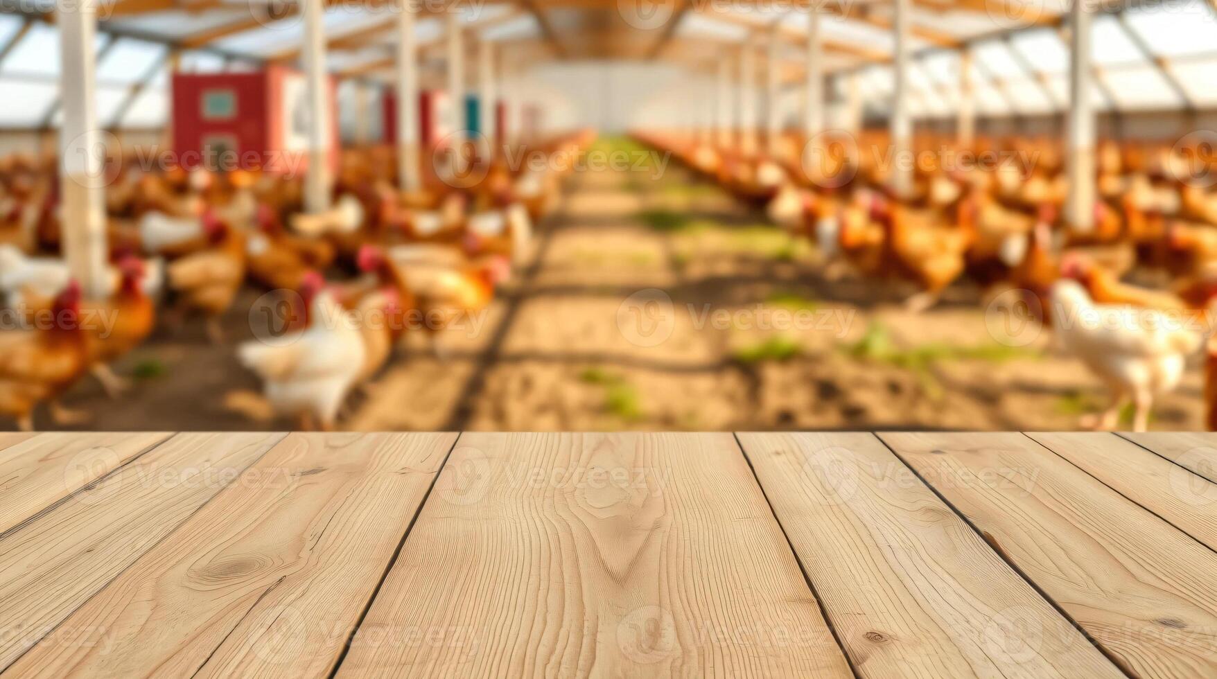 Wooden table top in a chicken farm with many chickens photo