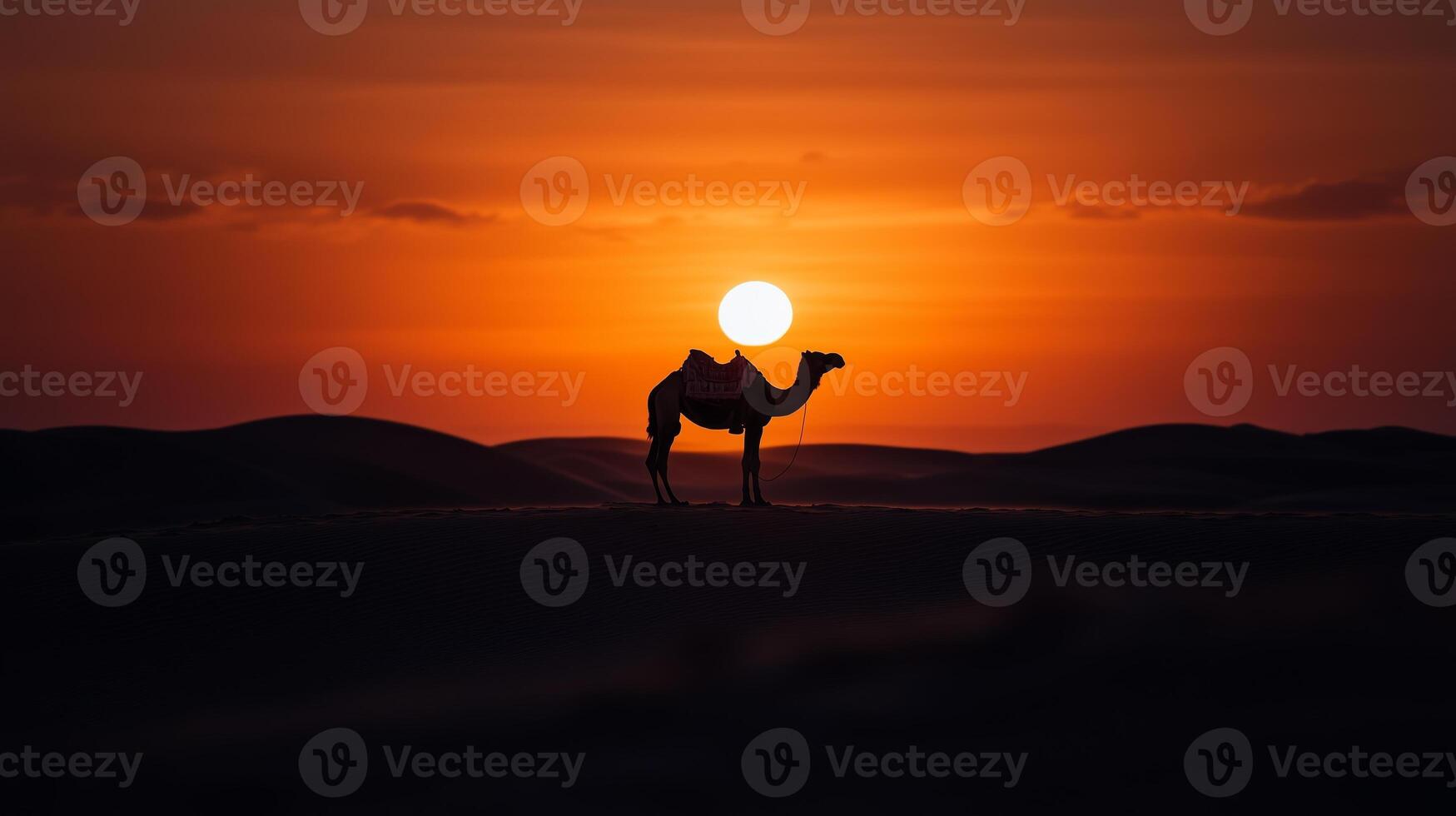 A camel stands in the desert at sunset photo