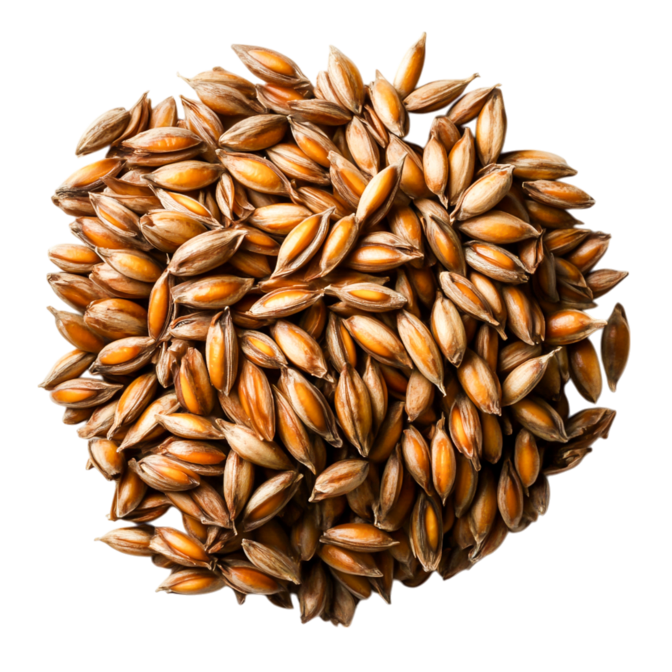 closeup View of Raw Grains Piled for Food Photography png