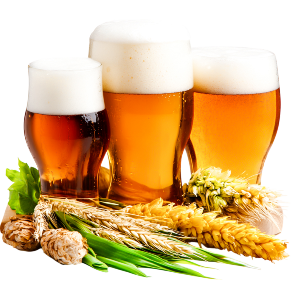 Refreshing Craft Beers and Barley with Grains Wooden Surface png