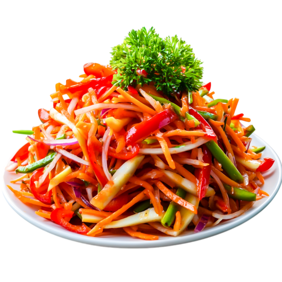 Fresh Colorful Vegetable Salad on White Plate with Green Garnish png