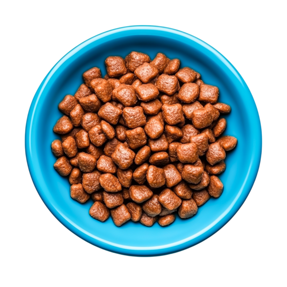 Brown Pet Food Kibble in Bright Blue Bowl png