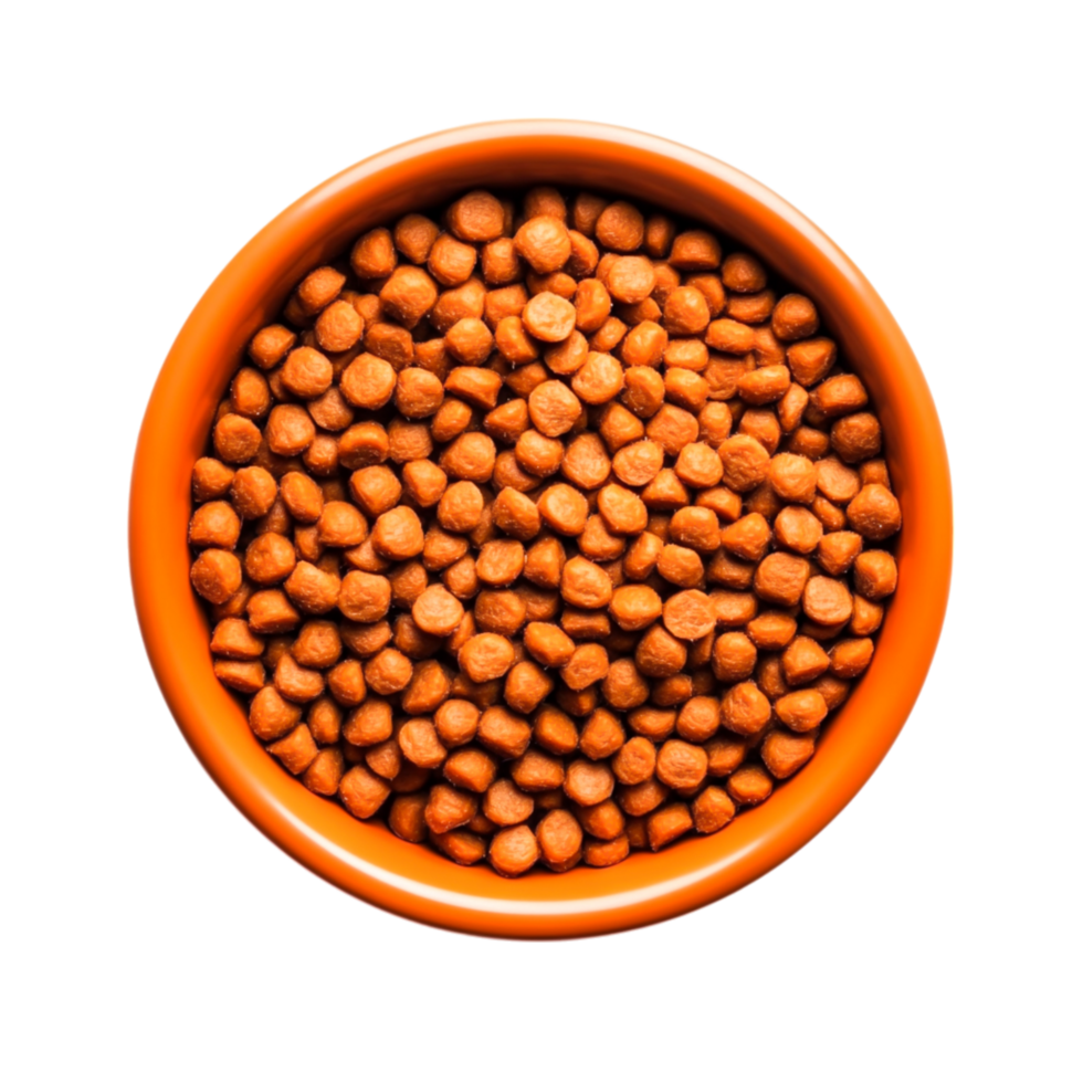 closeup of Brown Dry Cat Food in Round Orange Bowl on png