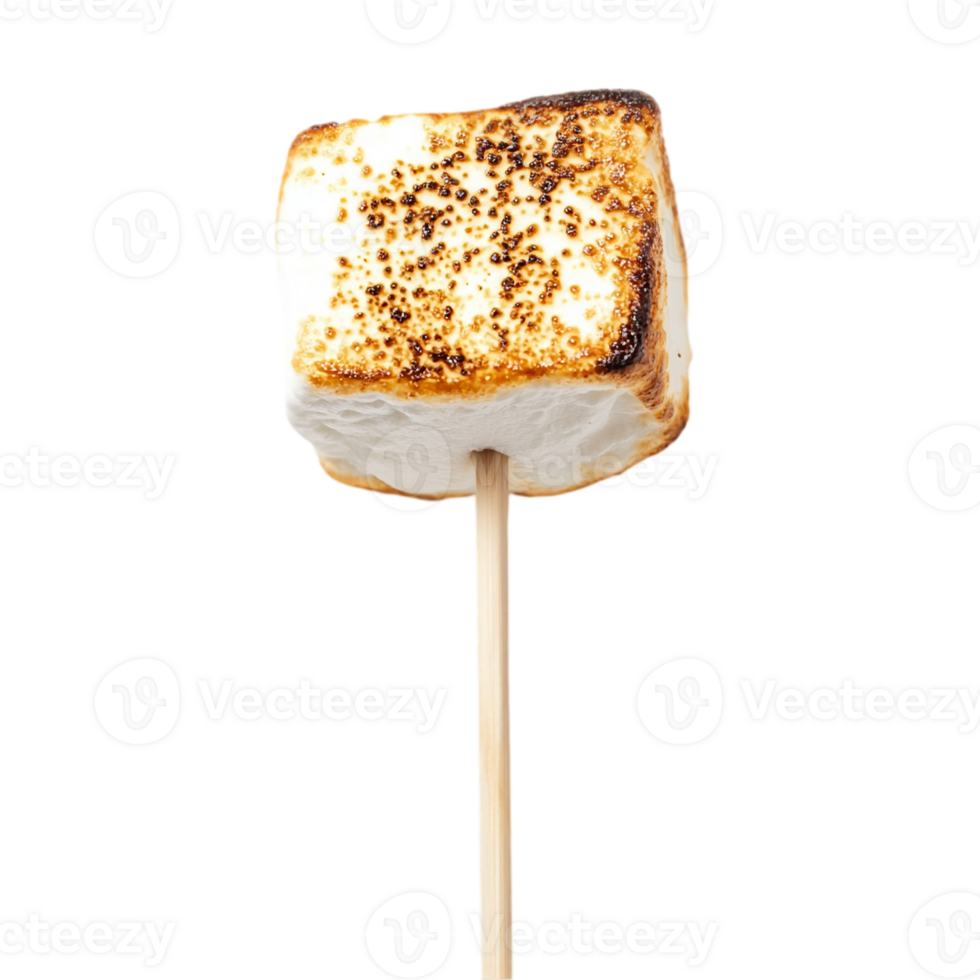 Toasted marshmallow on a stick sweet dessert treat foodisolated on transparent background png
